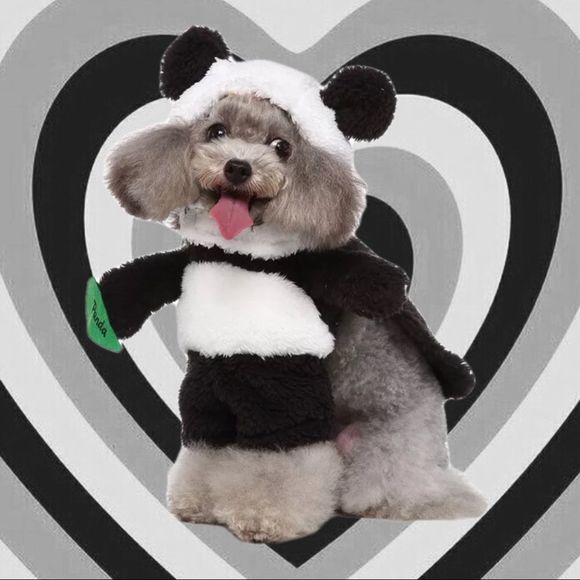 🐼Panda Standing Pet Costume🐼 - Picture 2 of 7